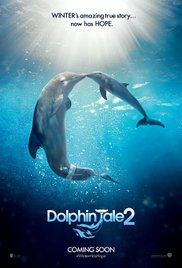 Dolphin Tale 2