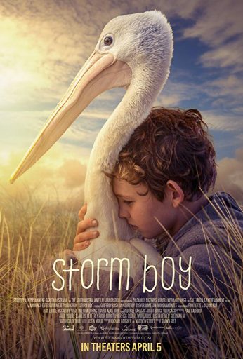 Storm Boy