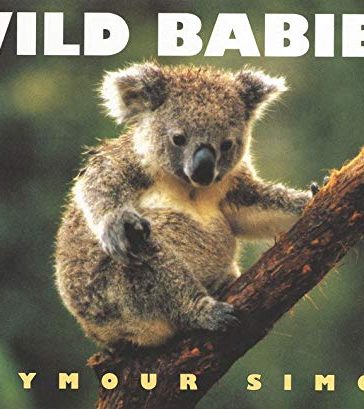 Wild Babies