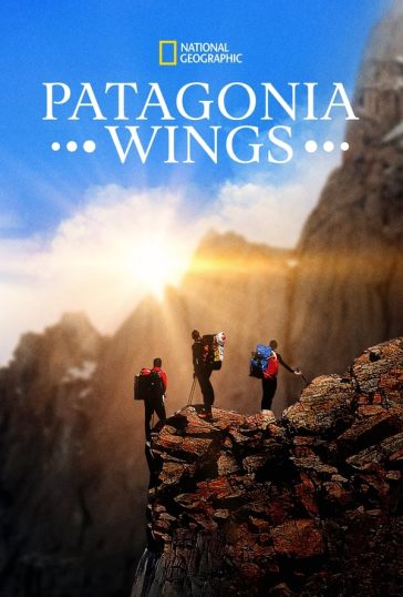 Patagonia Wings